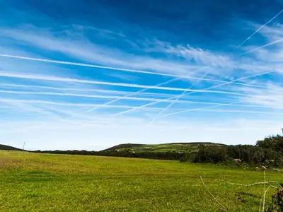 a field of green grass with a blue sky at Rosecott in St Ives