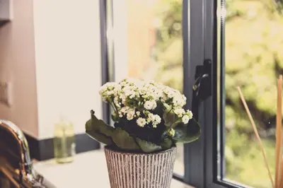 a vase filled with flowers sitting on a window sill at Fowey Landing in Fowey