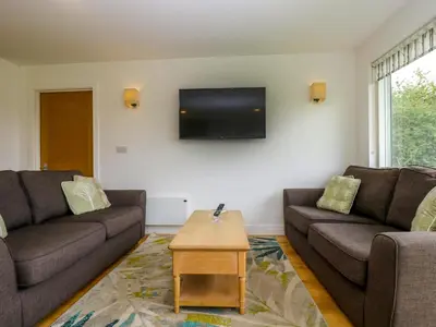 a living room with two couches and a flat screen tv at Maple in Truro