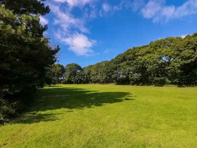 a large grass field with trees in the background at Juniper in Truro