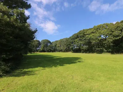 a large grass field with trees in the background at Hazel in Truro