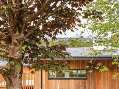 a wooden house with a tree in front of it at Ash in Truro