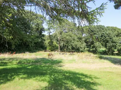 a field with trees and animals in the grass at Ash in Truro
