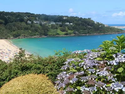 a view of a beach with flowers at Meridian in St Ives