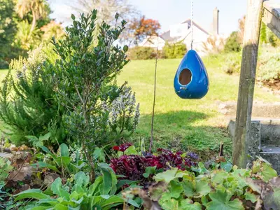 a blue bird feeder hanging in a garden at Bosula in Fowey