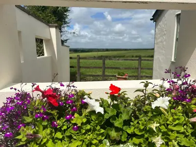 a balcony with flowers and a view of a field at Palmers Lodge in Launceston