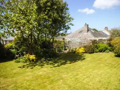 a yard with a house and a tree and grass at Pendeen in Wadebridge