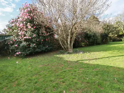 a tree with pink flowers in a yard at 5 Carlyon Road in Truro