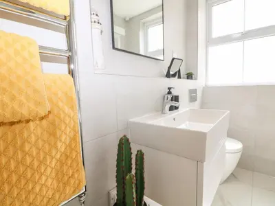 a bathroom with a white sink and a cactus at Sea Breeze in Marazion