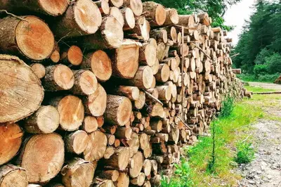 a pile of logs leaning against a fence at Stunning cosy barn in peaceful rural Cornwall in Truro