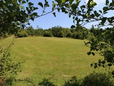a field of grass with trees in the background at Elm Cottage in Truro
