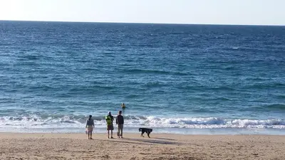 three people and a dog walking on the beach at Wesley House Holidays - Choice of 2 Quirky Cottages in 4 private acres in Redruth