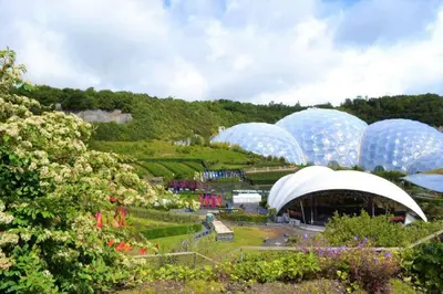 a group of blue domes in a field with flowers at Cliff Cottage in Gorran Haven