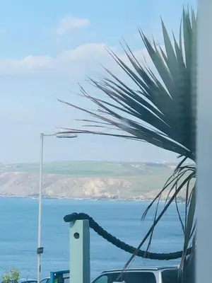 a view of the ocean and a palm tree at Bay House Lundy Port Isaac Apartment with Sea Views & Parking in Port Isaac