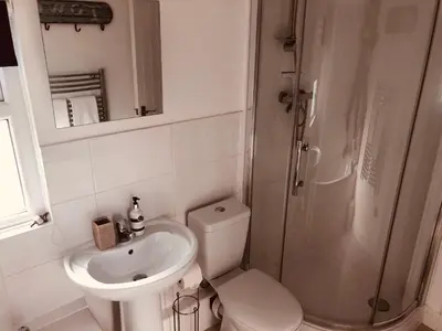 a bathroom with a toilet and a sink and a shower at Bay House Lundy Port Isaac Apartment with Sea Views & Parking in Port Isaac