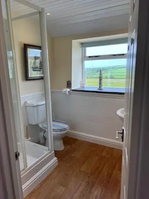 a bathroom with a toilet and a window at Courtyard Farm Cottages in Boscastle