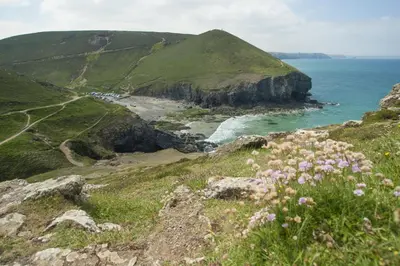 a view of a beach with flowers on a hill at Morvah in St. Agnes