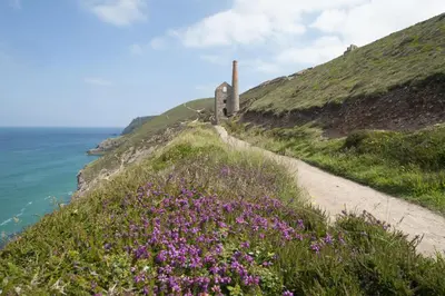 a path on a hill next to the ocean with purple flowers at Sea Gem in St. Agnes