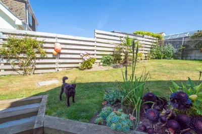 a black dog standing in a yard next to a fence at Sunfish in Porthtowan