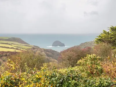 a view of the ocean from a hill with trees at Glenhaven in Tintagel