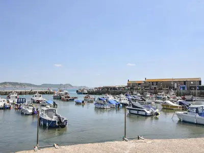 a bunch of boats are docked in a harbor at Riversdale Cottage in Wadebridge
