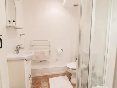 a white bathroom with a toilet and a shower at 3 Rose Cottages in Looe