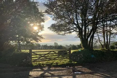 a wooden fence in a field with a tree at Cart Shed Cottage in Truro
