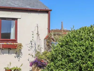 a house with a window and a bush at Bowling Green Cottage in Redruth