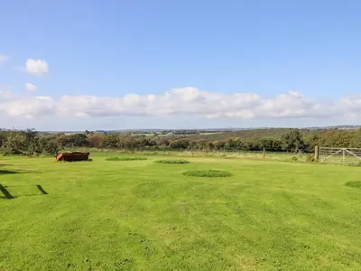 a horse standing in a field of grass at Valley View in Helston