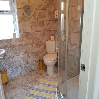 a bathroom with a toilet and a shower at Chynoweth Court in Newquay