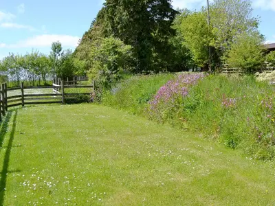 a field of grass with a fence and flowers at Linhay - Ukc4242 in Lanreath
