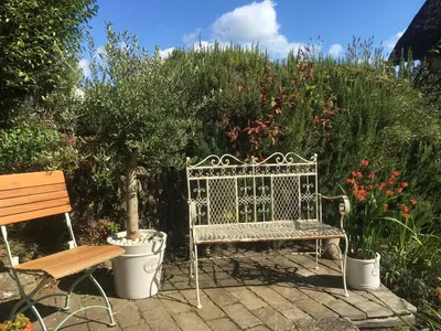 a bench sitting in a garden next to a bush at The Thatched Cottage in Truro