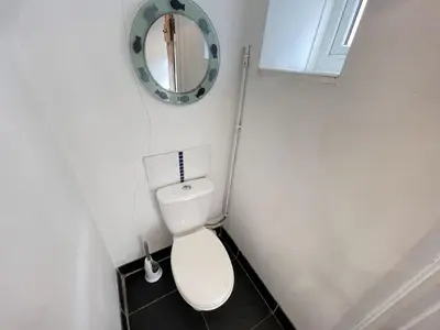 a small bathroom with a toilet and a mirror at Hollies Cottage in St Ives