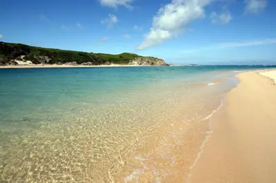 a sandy beach with the ocean and a blue sky at Tehidy Holiday Park Wigwam Camping Cabins in Illogan