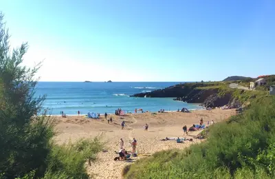 a group of people on a beach near the ocean at APARTMENT BY THE BEACH The Foxcove in St Merryn