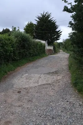 a gravel road with trees on the side of it at Kimberley Lane Static, Cornwall in Gwennap