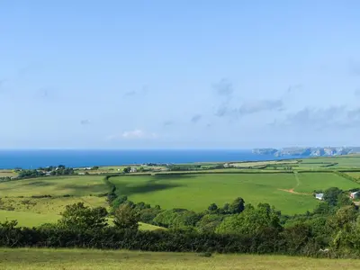 a green field with the ocean in the background at Swallows Nest - Uk12085 in Saint Endellion