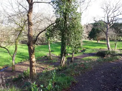a path in a park with trees and grass at Woodland Retreat in Uny Lelant
