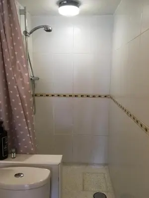 a bathroom with a toilet and a shower and a sink at Cosy annex. in Threemilestone