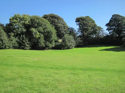 a large green field with trees in the background at Little Pengelly Farm in Crowan