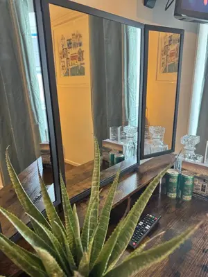 a plant sitting on a table in front of a mirror at The London Inn in Padstow