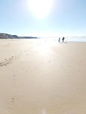 two people walking on a beach with a dog at Hegarty's cottage at Trevarrian Lodge in Mawgan Porth