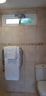 a bathroom with a toilet and a window with towels at Trelawne Garden Annexe in Falmouth
