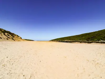 a sandy beach with green grass and a blue sky at Garden View in Newquay