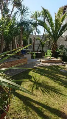 a garden with palm trees and a lawn with a bench at The Black Palms - Fistral Beach in Newquay