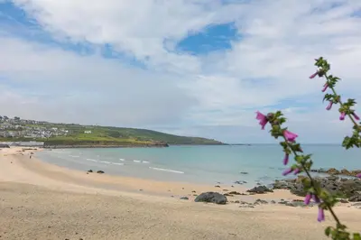 a view of a beach with pink flowers in the foreground at White Waves in St Ives
