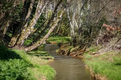 a river in a wooded area with trees at The Snug at Cornish Barn Holidays in Truro