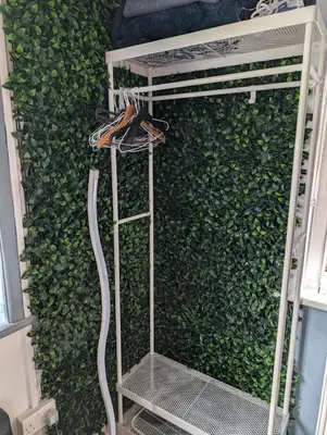 a green wall with a ladder next to a hedge at Commanders Cabin 'As seen in Beyond Paradise' in Looe