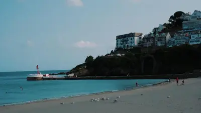 a beach with a bunch of birds on the sand at Captain's Quarters 'As seen in Beyond Paradise ' in Looe