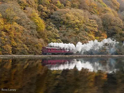 a red train traveling down tracks next to a body of water at Redcliffe House in Looe